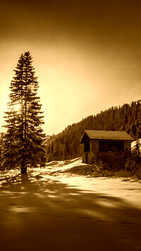 Sepia