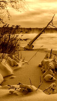 Sepia