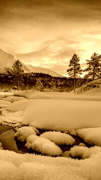 Sepia