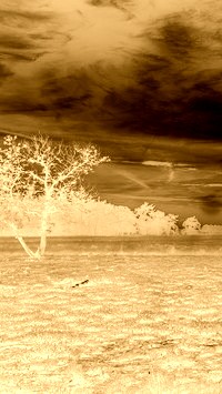 Sepia + Negatyw