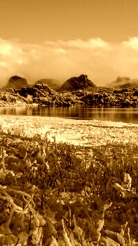 Sepia