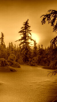 Sepia