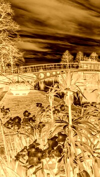 Sepia + Negatyw
