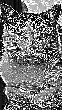 Skamielina