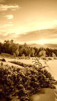 Sepia