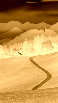 Sepia + Negatyw
