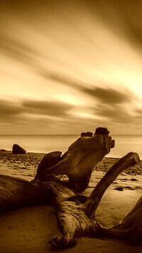 Sepia