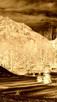Sepia + Negatyw