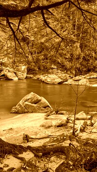 Sepia