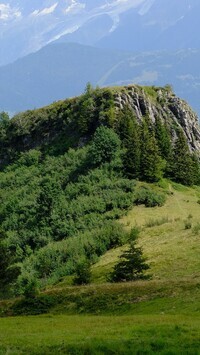 Oryginalny obrazek