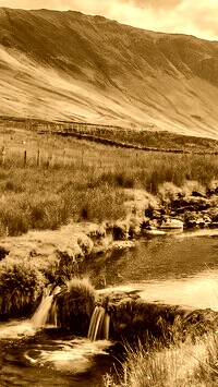Sepia