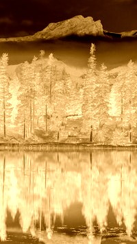 Sepia + Negatyw