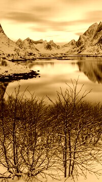 Sepia