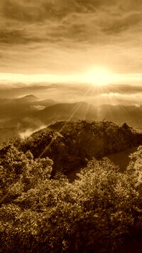 Sepia