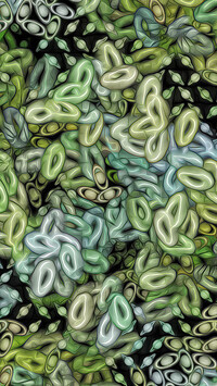 Oryginalny obrazek