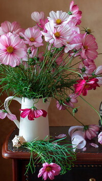 Oryginalny obrazek
