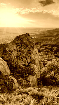Sepia