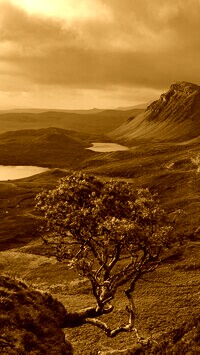 Sepia