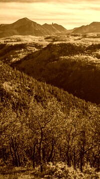 Sepia