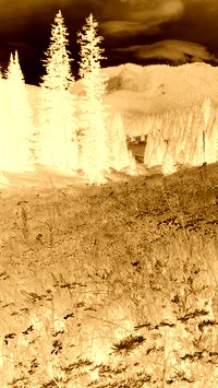 Sepia + Negatyw