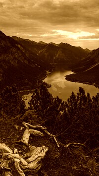 Sepia