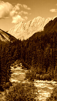 Sepia