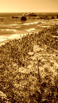 Sepia