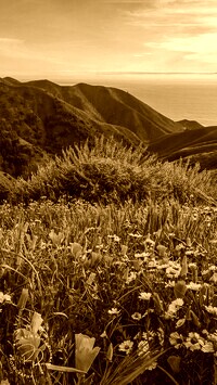 Sepia