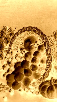 Sepia + Negatyw