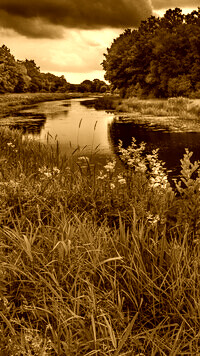 Sepia