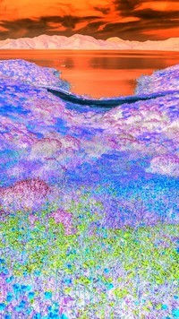 Negatyw