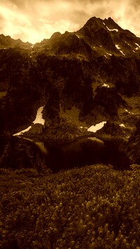 Sepia