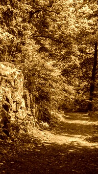 Sepia