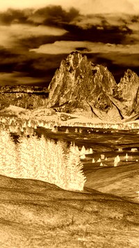 Sepia + Negatyw