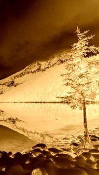 Sepia + Negatyw