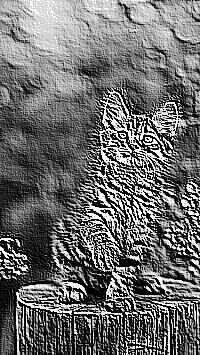 Skamielina