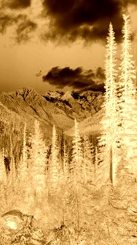 Sepia + Negatyw