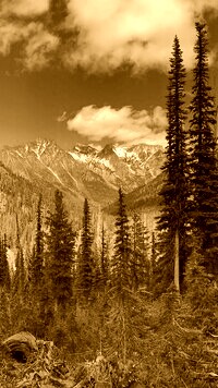 Sepia