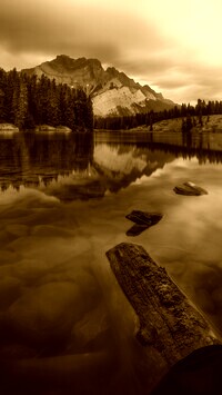 Sepia
