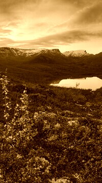 Sepia