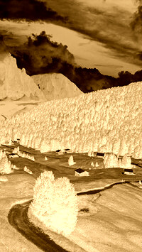 Sepia + Negatyw