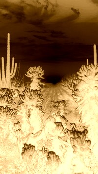 Sepia + Negatyw