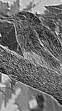Skamielina
