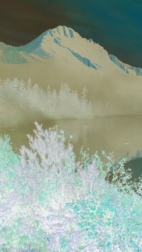 Negatyw
