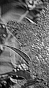 Skamielina