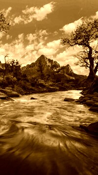 Sepia