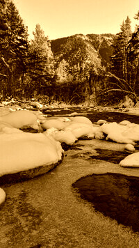 Sepia