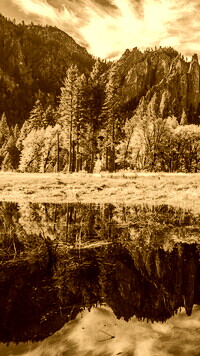 Sepia