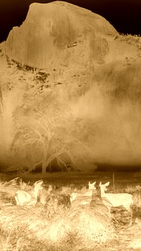 Sepia + Negatyw