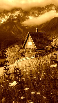 Sepia